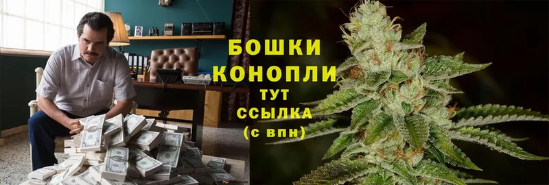 Конопля OG Kush  блэк спрут вход  Таштагол 